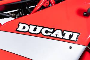 Image 15/46 of Ducati DUMMY (1989)