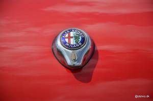 Bild 19/21 von Alfa Romeo Giulia 1600 Spider (1964)