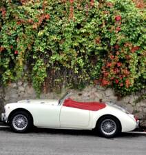 Image 11/18 de MG MGA 1600 (1961)