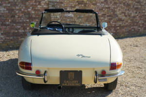 Bild 6/50 von Alfa Romeo 1600 Spider Duetto (1967)