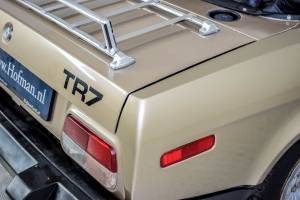 Immagine 43/50 di Triumph TR 8 (1980)