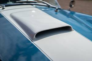Immagine 5/44 di Everett-Morrison Shelby Cobra (1968)