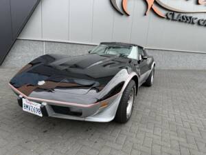 Bild 9/50 von Chevrolet Corvette 25th Anniversary (1978)