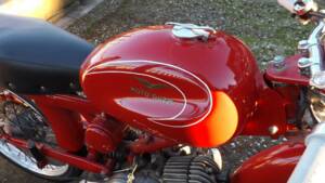 Immagine 13/20 di Moto Guzzi Cardellino 75 (1960)