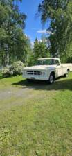 Immagine 16/18 di Dodge D 200 (1969)