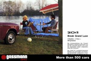 Image 13/15 of Peugeot 204 Break (1974)