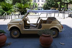 Bild 16/50 von FIAT Ghia 500 Jolly (1970)