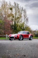 Afbeelding 19/50 van AC Cobra 289 (2000)