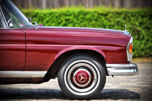 Immagine 20/71 di Mercedes-Benz 220 SE b (1961)