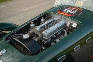 Bild 13/15 von Healey Silverstone (1950)