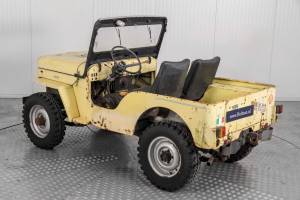Bild 12/50 von Willys CJ-3B (1955)