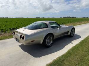Afbeelding 5/50 van Chevrolet Corvette Collector Edition (1982)