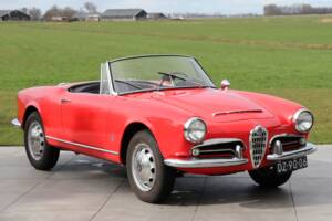 Bild 19/50 von Alfa Romeo Giulia 1600 Spider Veloce (1965)