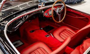 Bild 4/50 von Austin-Healey 100/4 (BN2) (1956)