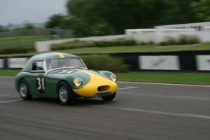 Image 13/50 of Austin-Healey Sprinzel Sebring Sprite (1958)
