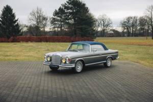 Afbeelding 7/25 van Mercedes-Benz 250 SE (1967)