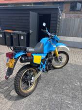 Bild 5/6 von Yamaha XT 600 Z Ténéré (1984)