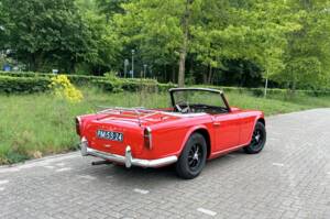 Immagine 33/50 di Triumph TR 4 (1961)