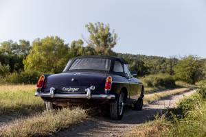 Bild 2/16 von MG MGB (1964)