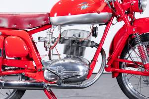 Image 15/42 de MV Agusta DUMMY (1955)