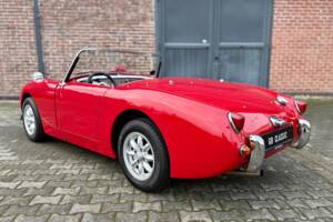 Image 11/40 of Austin-Healey Sprite Mk I (1958)
