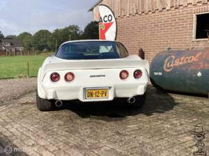 Afbeelding 19/50 van Chevrolet Corvette Sting Ray (1979)