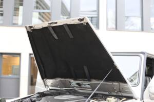 Image 43/64 of Mercedes-Benz G 400 CDI (LWB) (2004)