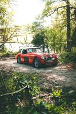 Imagen 7/28 de Austin-Healey 3000 Mk I (BT7) (1960)