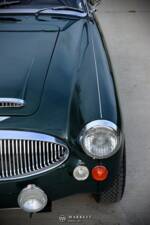 Image 11/68 of Austin-Healey 3000 Mk III (BJ8) (1966)