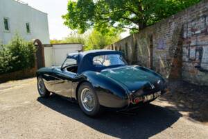 Bild 37/46 von Austin-Healey 100/4 (BN1) (1953)