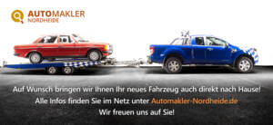 Bild 53/53 von Volkswagen 1600 Variant (1972)