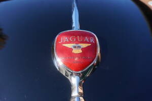 Image 14/26 of Jaguar XK 140 SE FHC (1955)