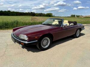Image 1/50 de Jaguar XJS 5.3 V12 (1989)