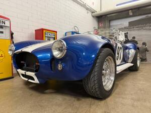 Afbeelding 2/15 van AC Cobra 289 (1965)