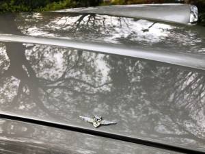 Image 43/50 of Alfa Romeo 2600 Spider (1964)