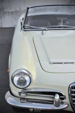Image 11/49 of Alfa Romeo Giulia 1600 Spider (1964)