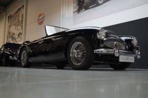 Bild 24/50 von Austin-Healey 3000 Mk II (BJ7) (1962)