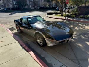 Bild 14/50 von Chevrolet Corvette 25th Anniversary (1978)