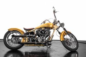 Bild 3/38 von Harley-Davidson DUMMY (2009)