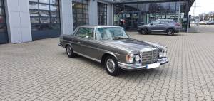 Bild 7/50 von Mercedes-Benz 280 SE 3,5 (1971)