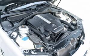 Image 45/45 of Mercedes-Benz S 55 AMG (2000)