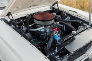 Imagen 15/19 de Ford Shelby GT 350 (1965)
