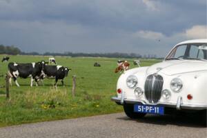 Obraz 8/50 pojazdu Jaguar 240 (1968)