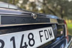 Image 14/47 of Jaguar XJ-S 3.6 (1988)