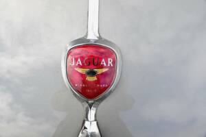 Bild 26/50 von Jaguar XK 140 FHC (1954)