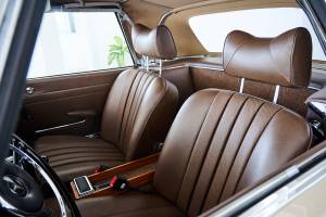 Image 10/25 of Mercedes-Benz 230 SL (1966)