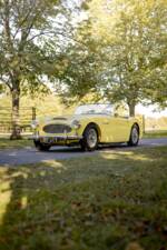 Bild 15/50 von Austin-Healey 3000 Mk I (BT7) (1960)