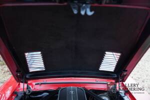 Bild 50/50 von Ford Shelby GT 350 (1968)