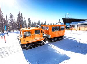 Bild 1/16 von Hägglunds Bandvagn BV 206 (1988)