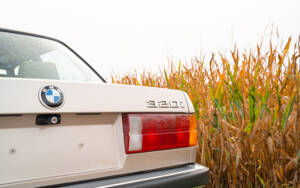 Image 27/80 of BMW 320i (1983)